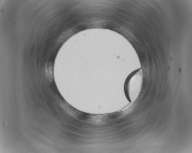 X0000069390190200606091726