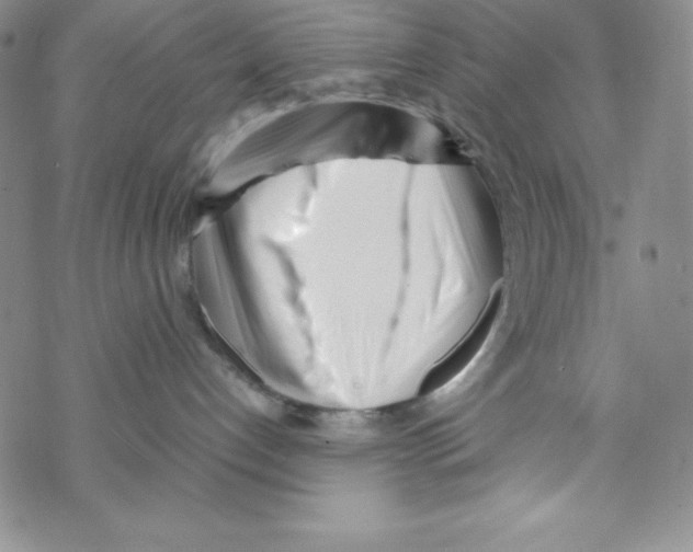 X0000069390192200606091726