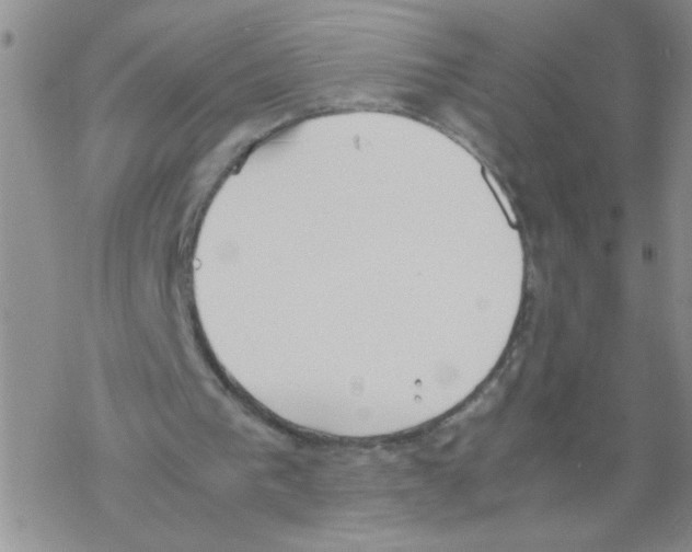 X0000069390193200606091725