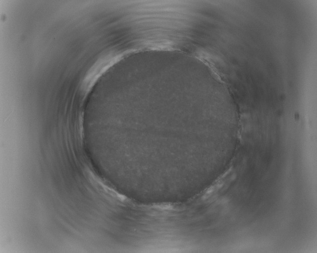 X0000069390194200606091725