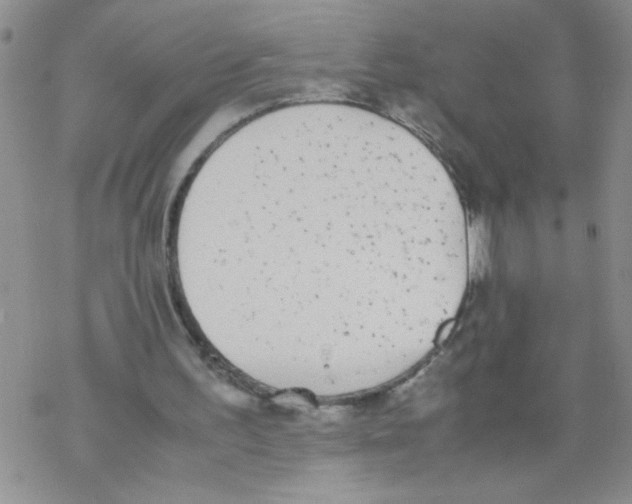 X0000069390195200606091725