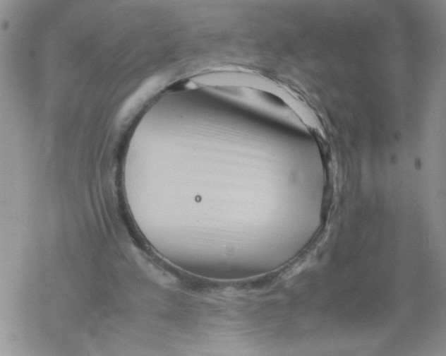 X0000069390197200606091725