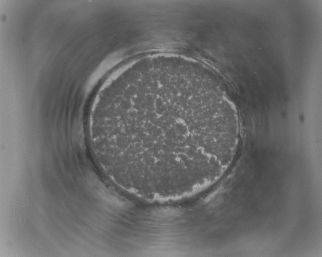 X0000069390198200606091725