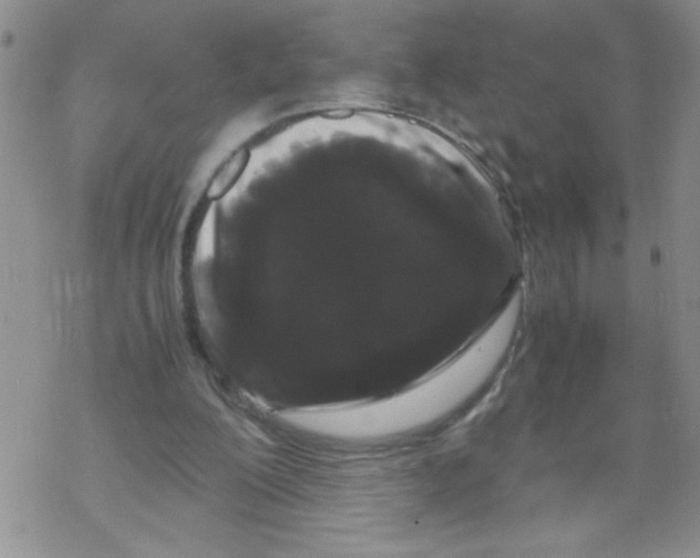 X0000069390200200606091725