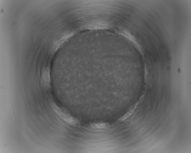 X0000069390202200606091725