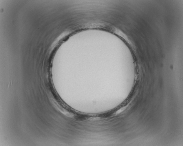 X0000069390203200606091725