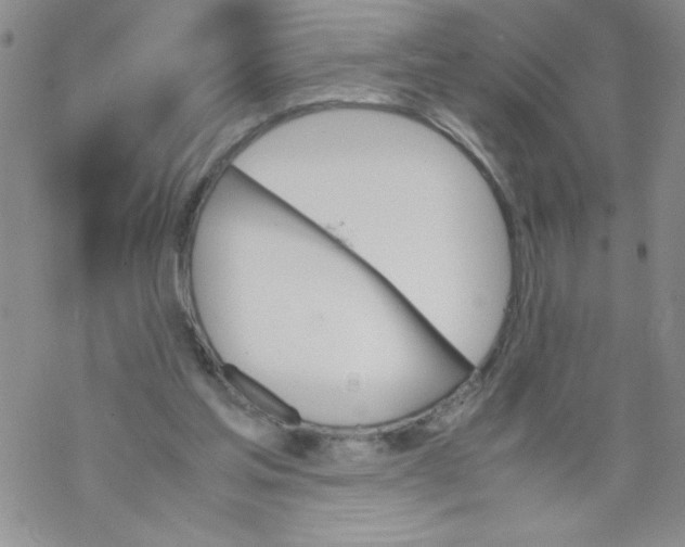 X0000069390205200606091725