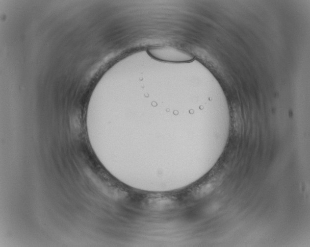 X0000069390208200606091725