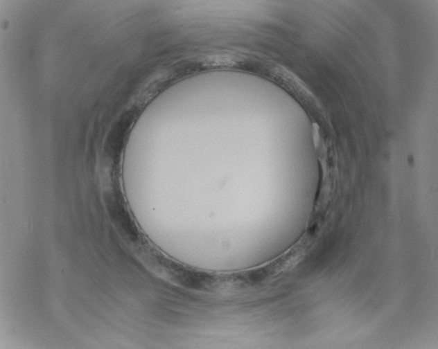 X0000069390209200606091725