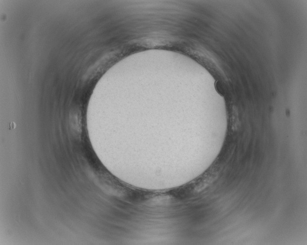 X0000069390210200606091725