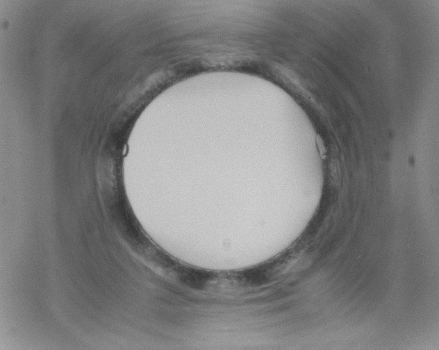 X0000069390211200606091725