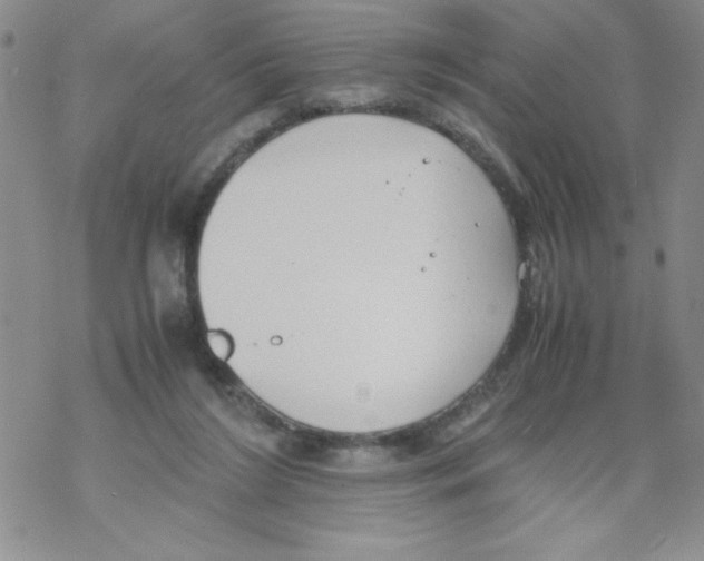 X0000069390212200606091725