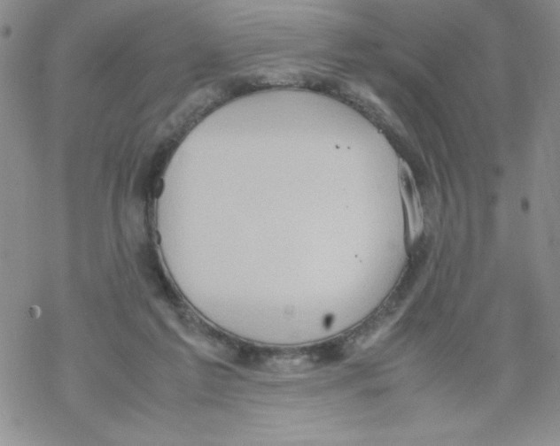 X0000069390213200606091725