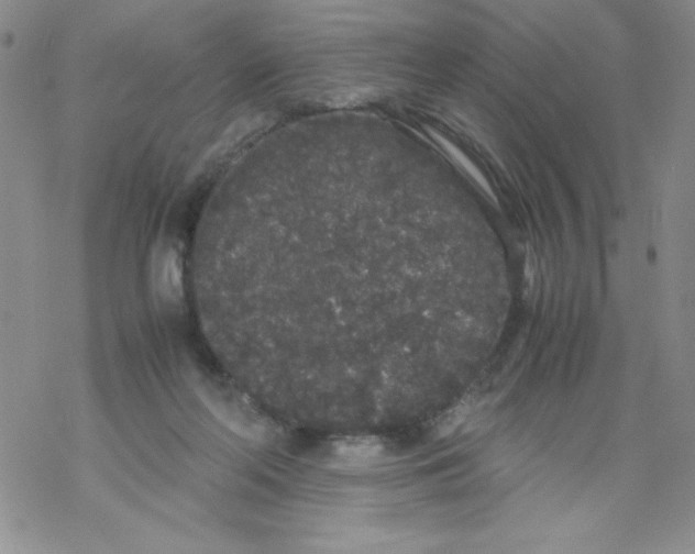 X0000069390214200606091725