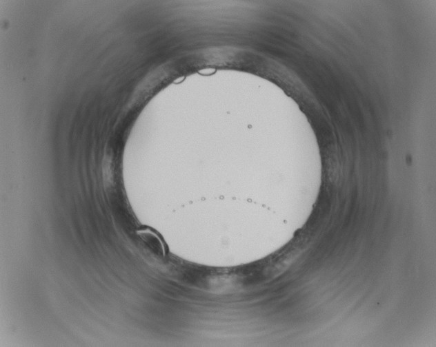 X0000069390216200606091725