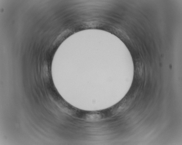 X0000069390220200606091725