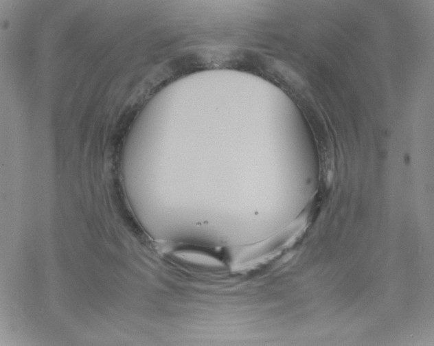 X0000069390221200606091725