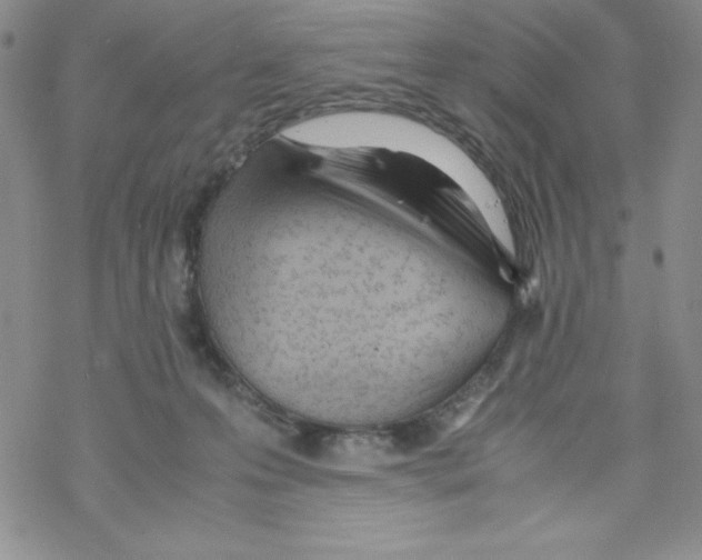 X0000069390223200606091724