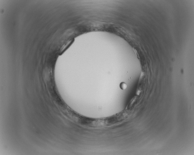 X0000069390225200606091724