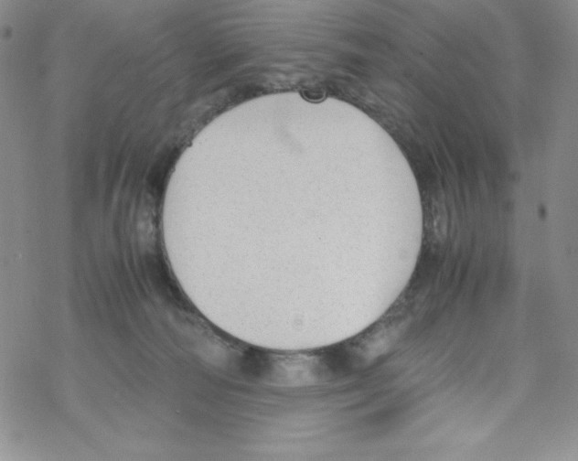 X0000069390226200606091724