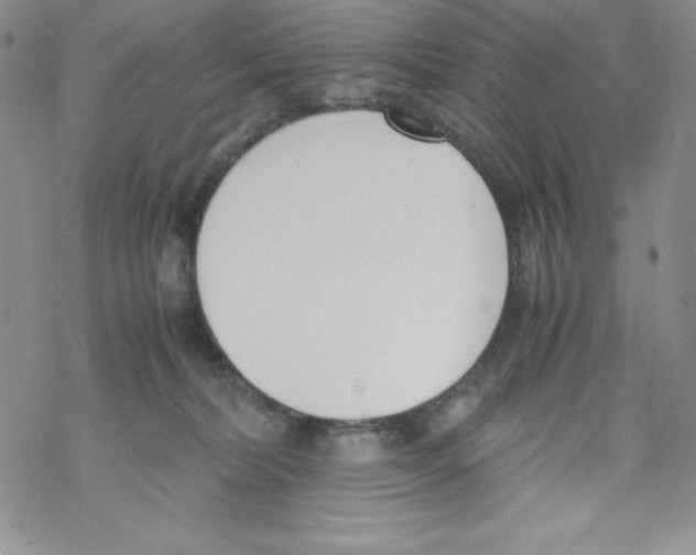 X0000069390228200606091724