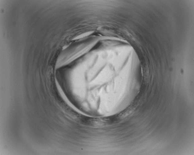 X0000069390229200606091724