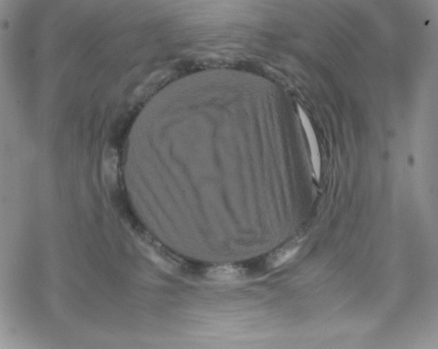 X0000069390231200606091724