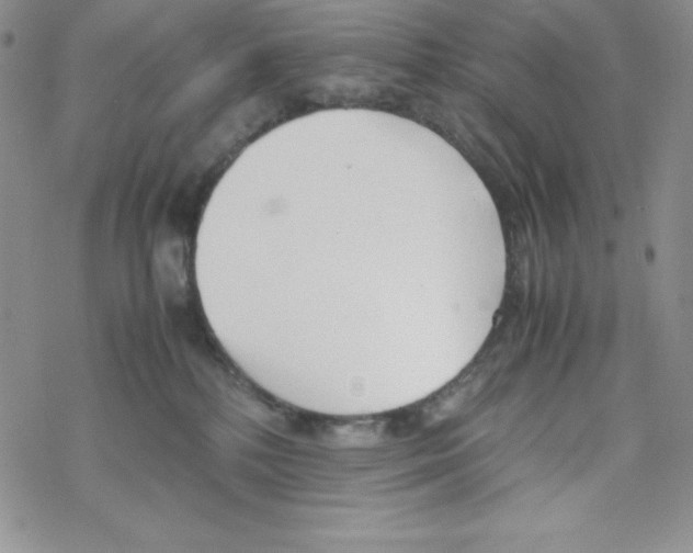 X0000069390232200606091724