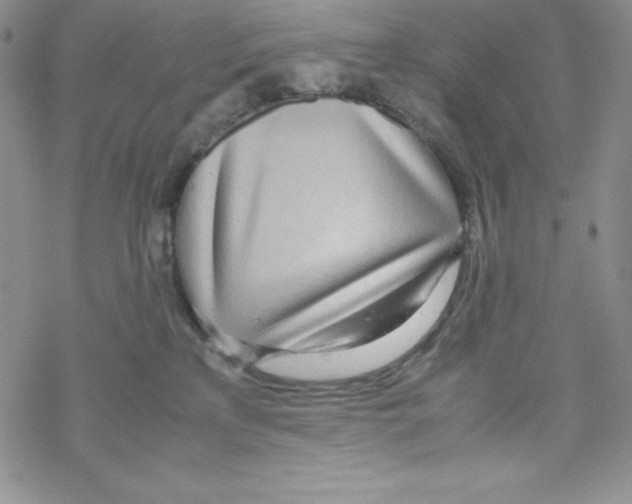 X0000069390233200606091724