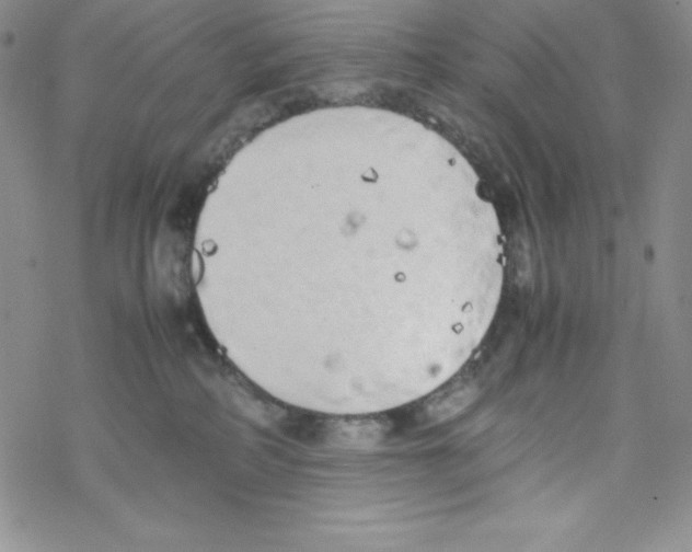 X0000069390234200606091724