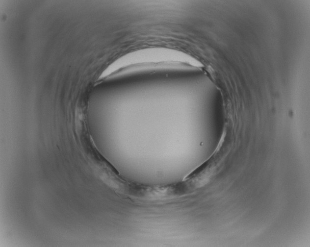 X0000069390235200606091724