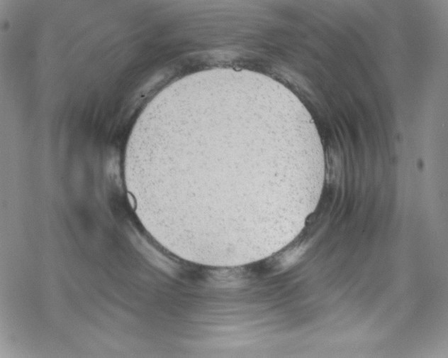 X0000069390238200606091724