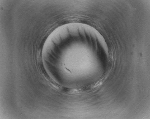 X0000069390239200606091724