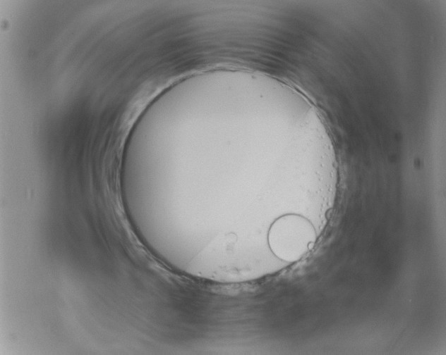 X0000069390241200606091723