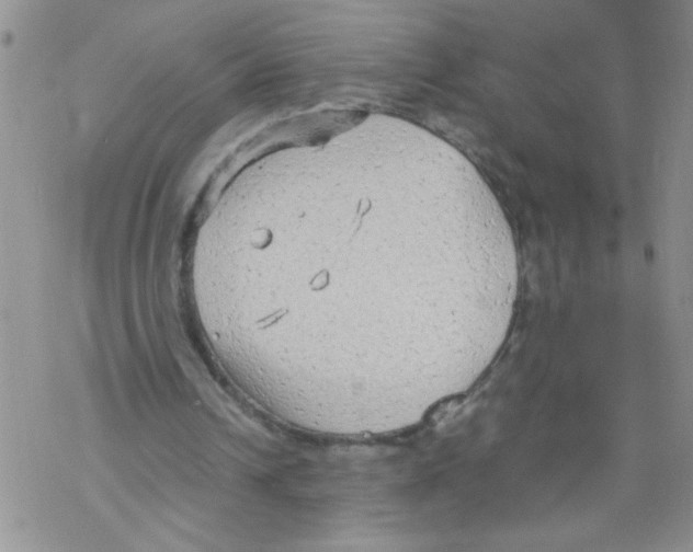 X0000069390242200606091723