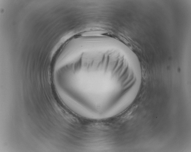 X0000069390244200606091723