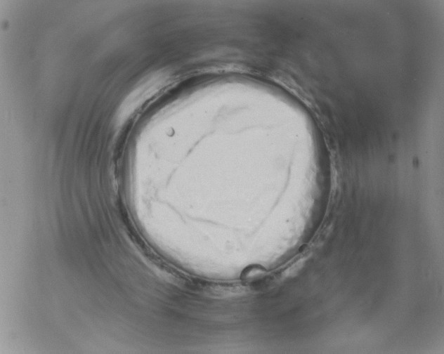 X0000069390245200606091723