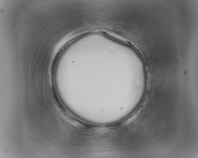 X0000069390246200606091724