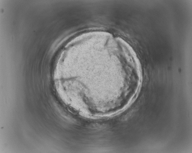 X0000069390247200606091724