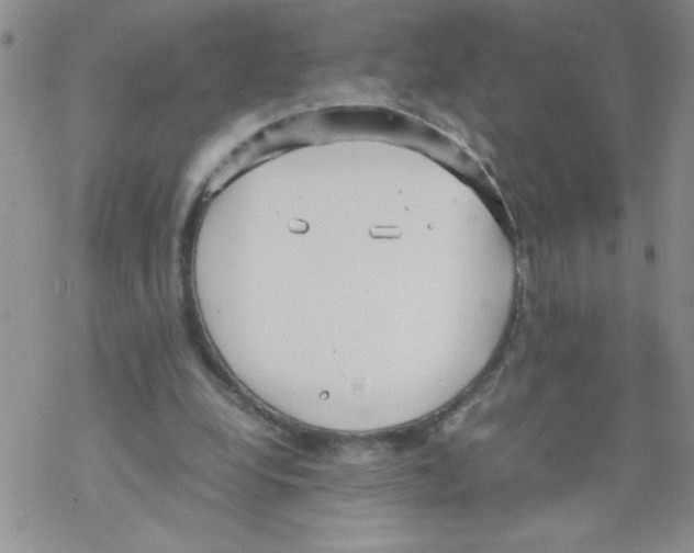 X0000069390248200606091724