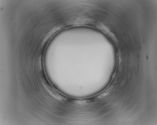 X0000069390250200606091724