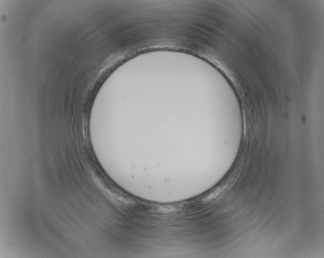 X0000069390253200606091724