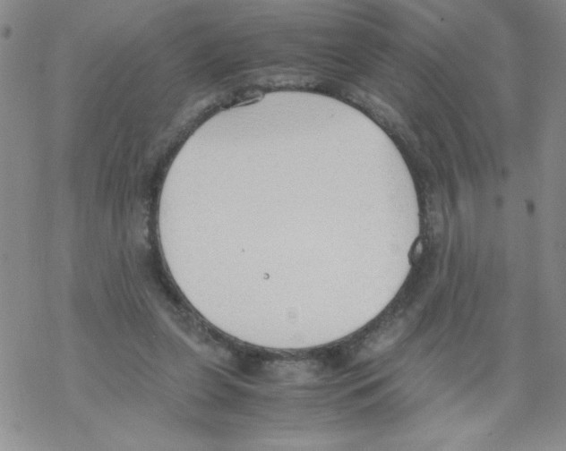 X0000069390255200606091724