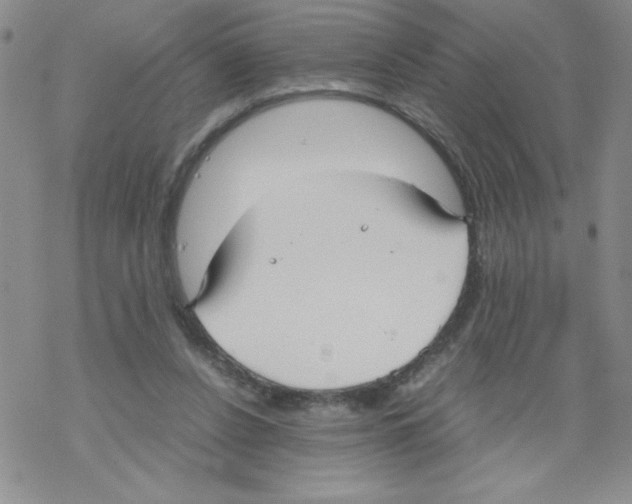 X0000069390256200606091724