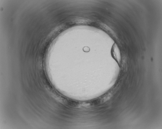 X0000069390257200606091724