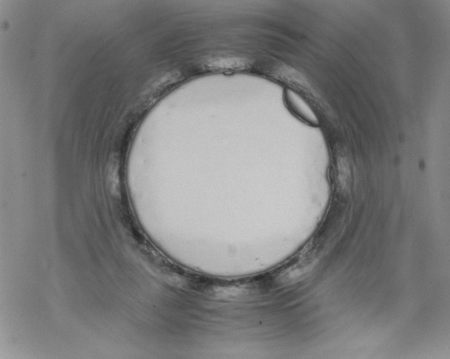 X0000069390259200606091724