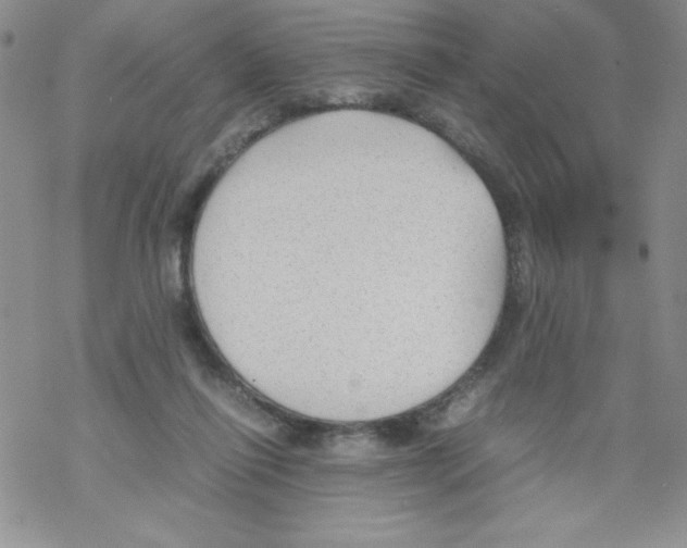 X0000069390262200606091724