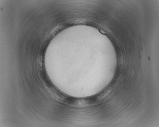 X0000069390264200606091724