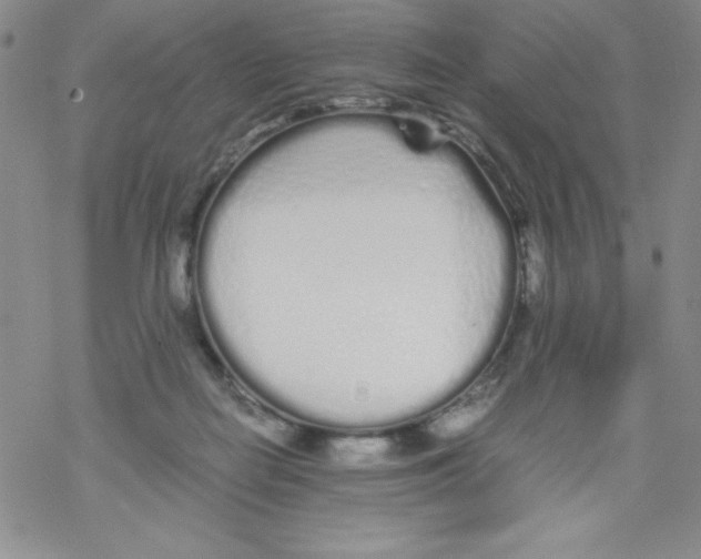 X0000069390266200606091724