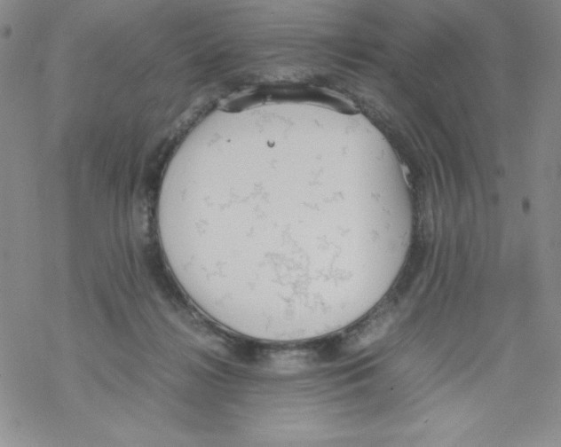 X0000069390268200606091724